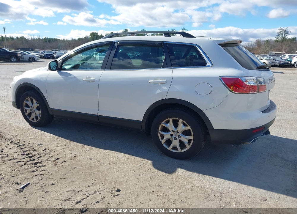 2011 MAZDA CX-9 SPORT VIN: JM3TB3BV1B0302084