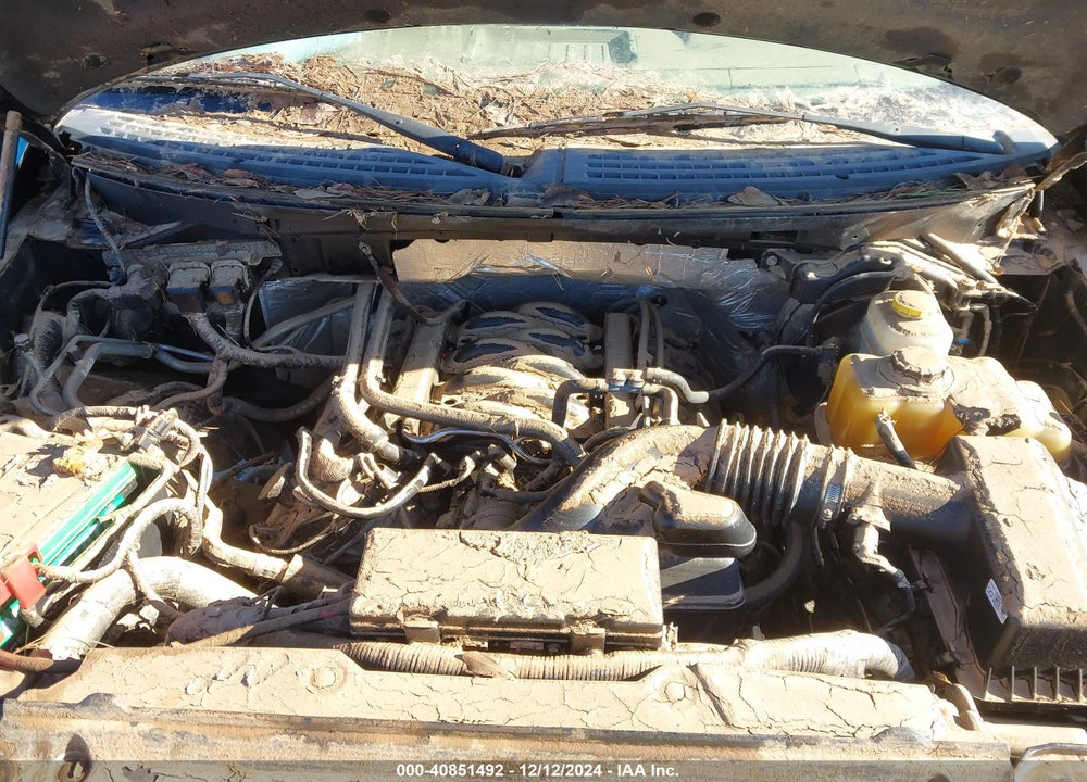 2014 FORD F-150 XLT VIN: 1FTFW1EF4EKG40798