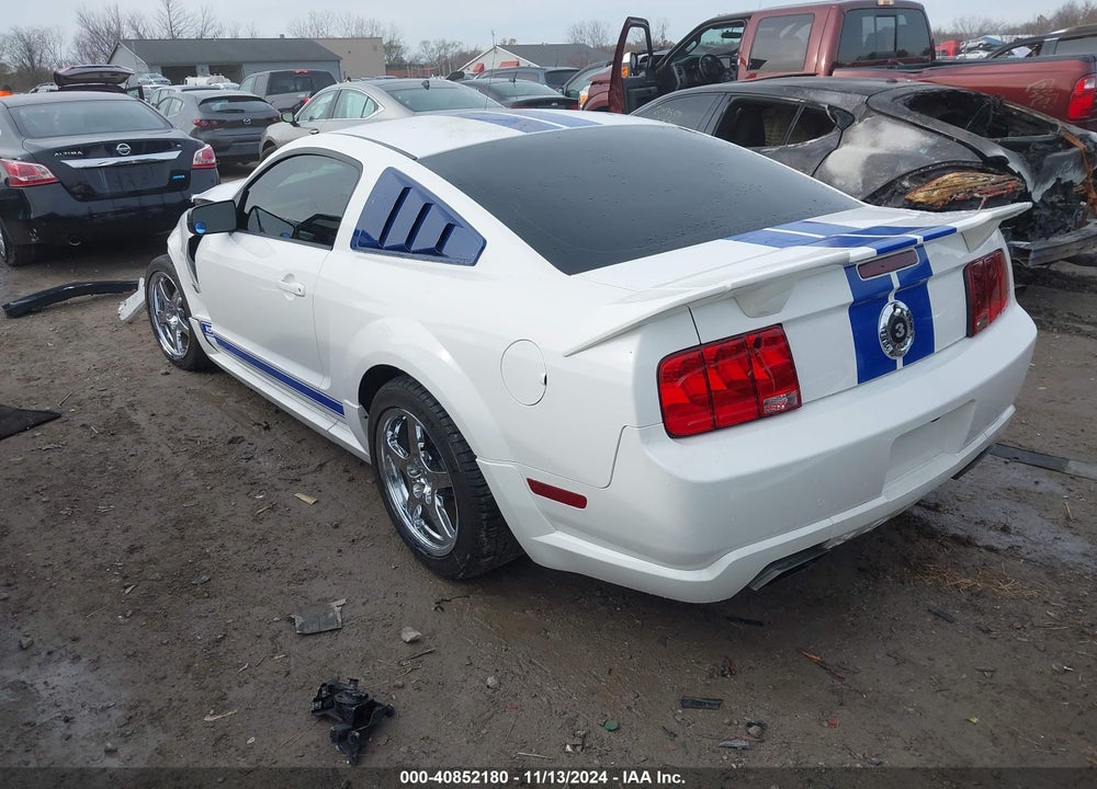 2006 FORD MUSTANG GT VIN: 1ZVFT82H565134143