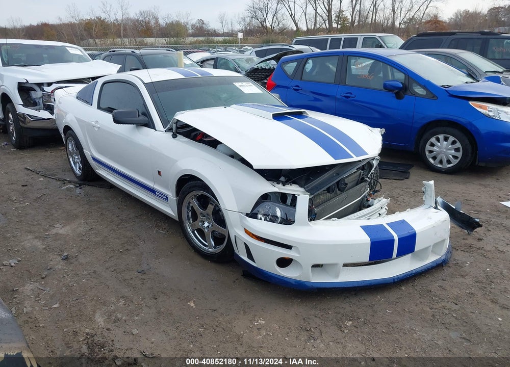 2006 FORD MUSTANG GT VIN: 1ZVFT82H565134143