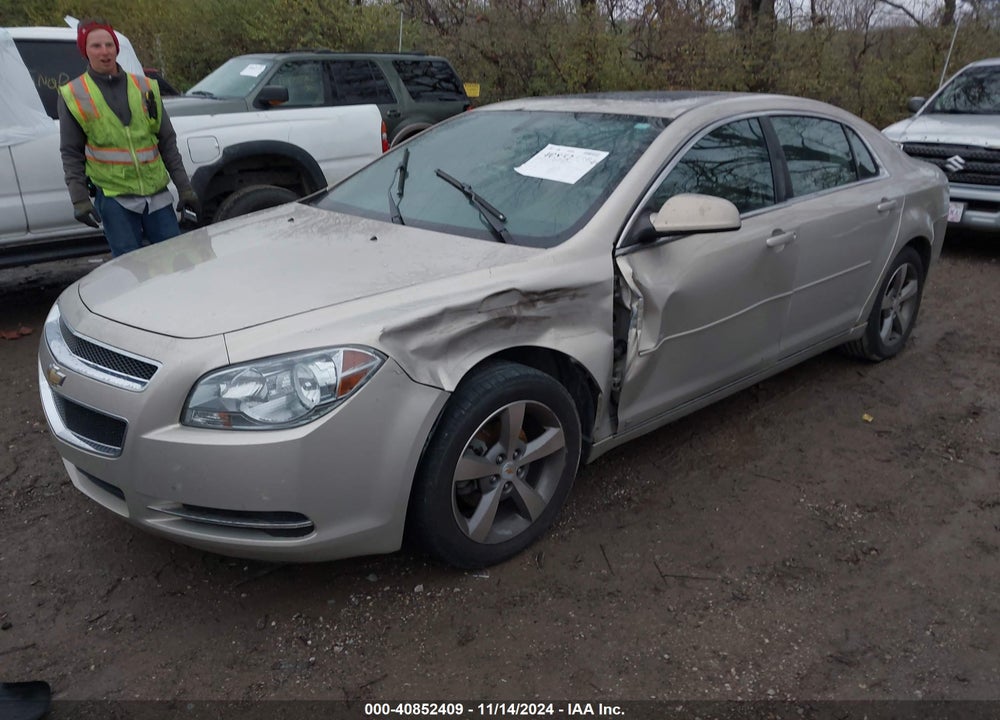 2009 CHEVROLET MALIBU LT VIN: 1G1ZJ57B19F223675