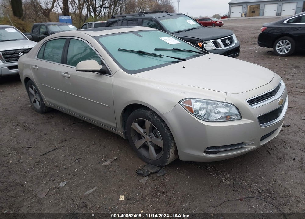 2009 CHEVROLET MALIBU LT VIN: 1G1ZJ57B19F223675
