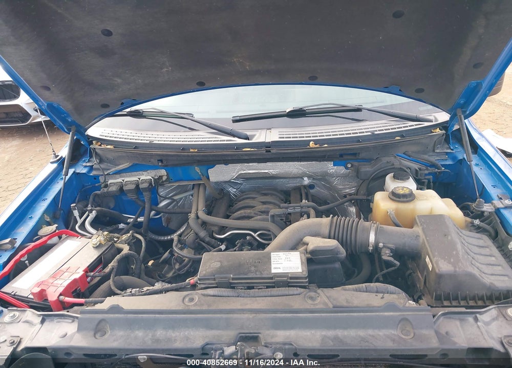 2013 FORD F-150 STX VIN: 1FTFX1EF5DFB58281