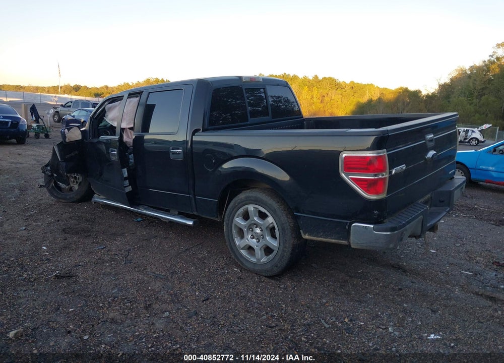 2013 FORD F-150 XLT VIN: 1FTFW1CF5DKG41315