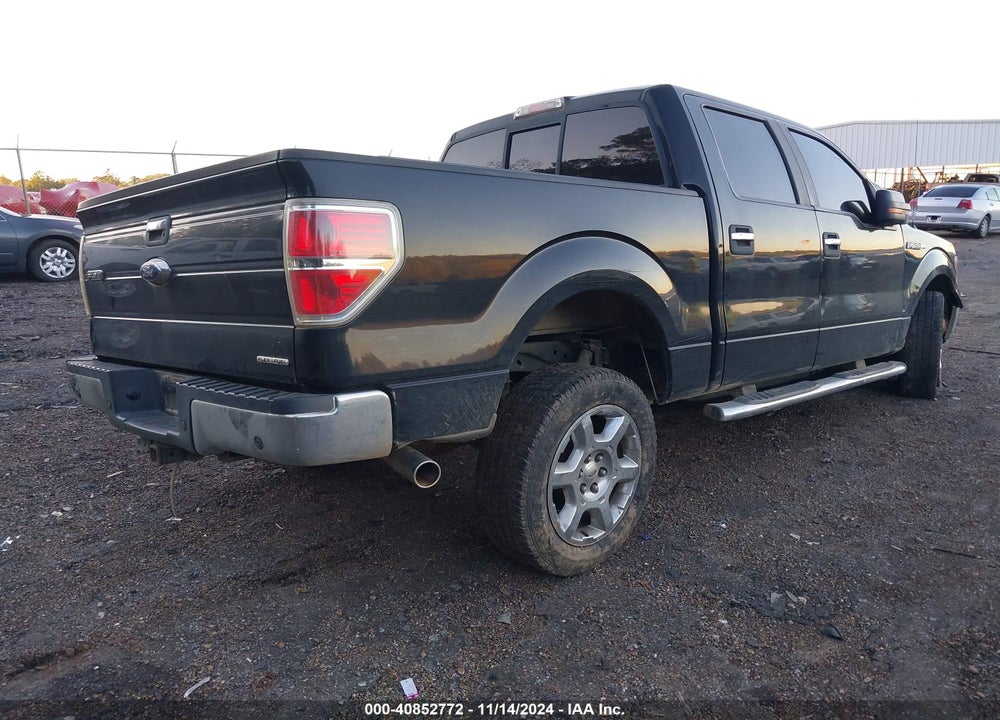 2013 FORD F-150 XLT VIN: 1FTFW1CF5DKG41315