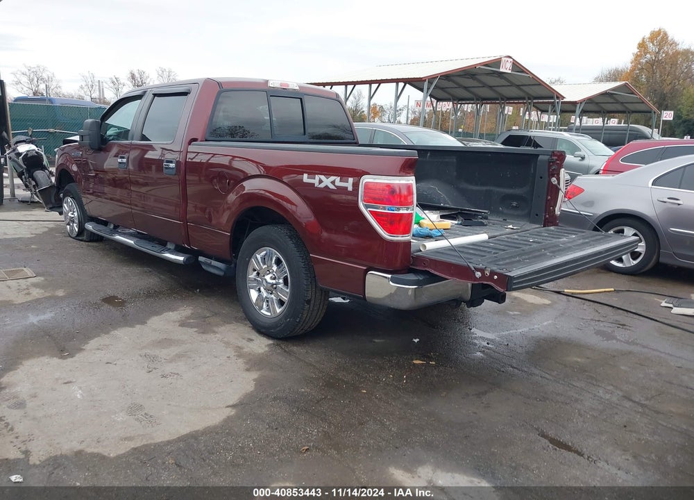 2009 FORD F-150 FX4/KING RANCH/LARIAT/PLATINUM/XL/XLT VIN: 1FTPW14V09FB27138