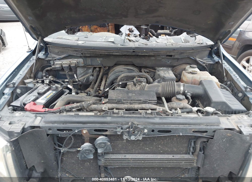2010 FORD F-150 VIN: 1FTEW1C85AKA17846