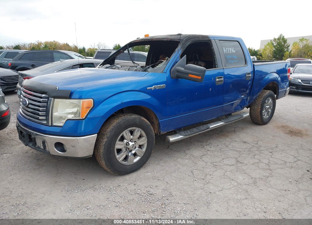 2010 FORD F-150 VIN: 1FTEW1C85AKA17846