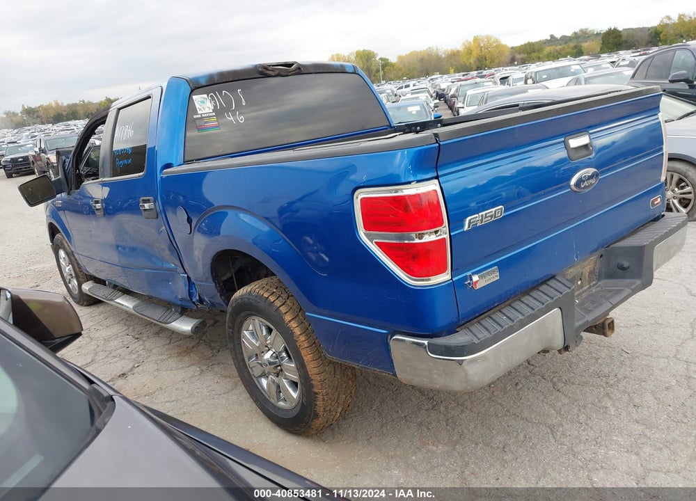 2010 FORD F-150 VIN: 1FTEW1C85AKA17846