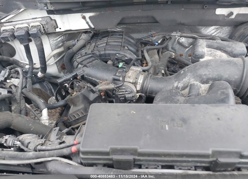 2011 FORD F-150 XL VIN: 1FTMF1CM1BKD02652