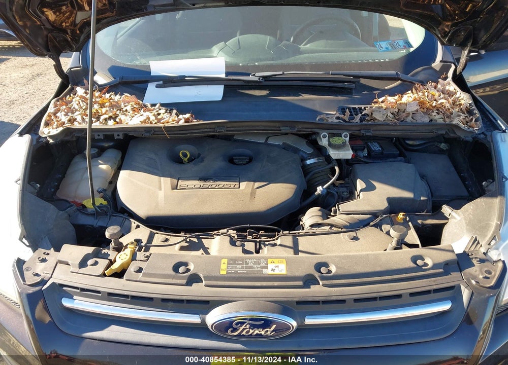 2013 FORD ESCAPE SE VIN: 1FMCU0G91DUA76732