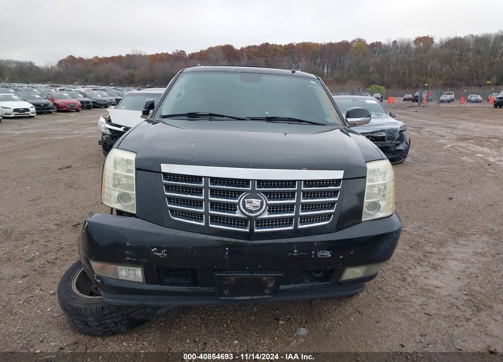 2007 CADILLAC ESCALADE STANDARD VIN: 1GYFK638X7R176028