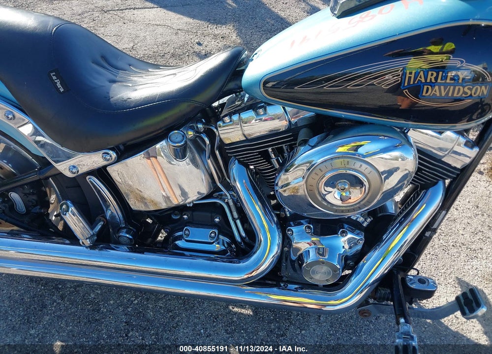 2007 HARLEY-DAVIDSON FXST CUSTOM VIN: 1HD1JL5197Y031570