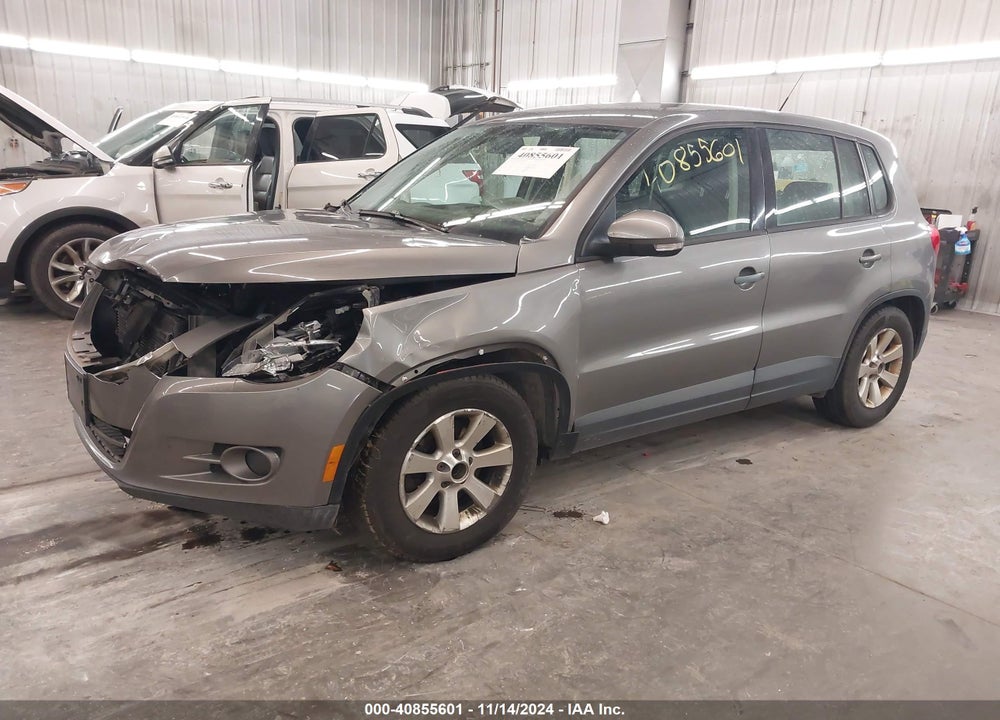 2009 VOLKSWAGEN TIGUAN S/SE/SEL VIN: WVGAV75N09W512981