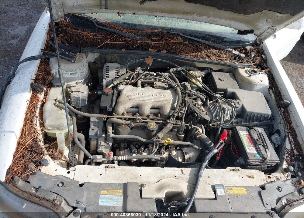 1999 CHEVROLET MALIBU LS VIN: 1G1NE52M3XY115765