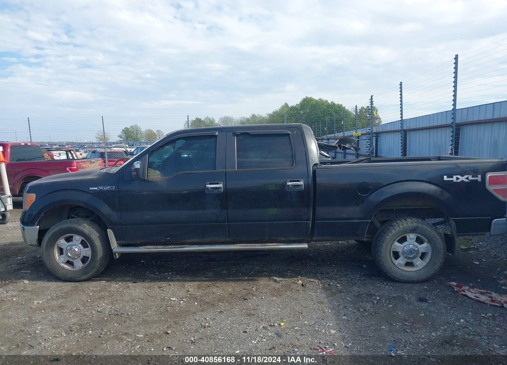 2011 FORD F-150 XLT VIN: 1FTFW1EF8BFC15492