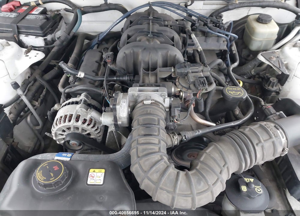 2006 FORD MUSTANG V6 VIN: 1ZVFT80N765155360