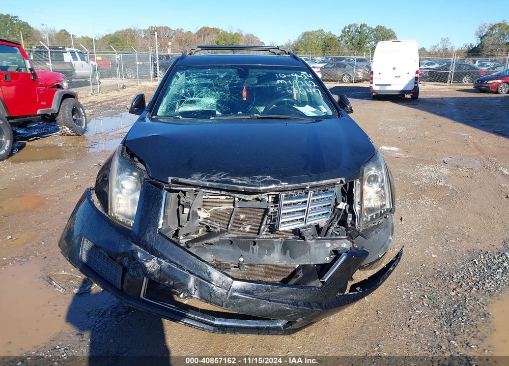 2013 CADILLAC SRX STANDARD VIN: 3GYFNAE36DS563647