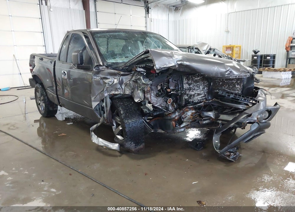 2006 FORD F-150 STX/XLT VIN: 1FTRF02266KB40829