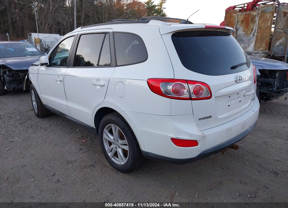 2010 HYUNDAI SANTA FE SE VIN: 5NMSHDAG5AH407530