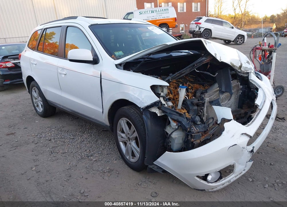 2010 HYUNDAI SANTA FE SE VIN: 5NMSHDAG5AH407530