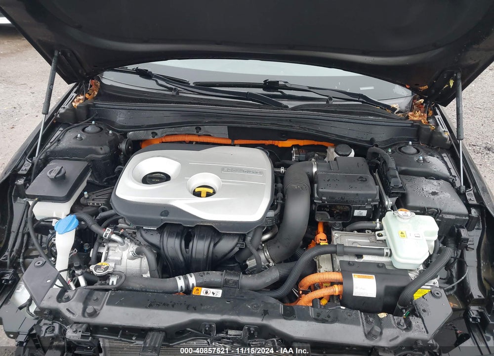 2018 KIA OPTIMA HYBRID EX VIN: KNAGU4LE3J5020262
