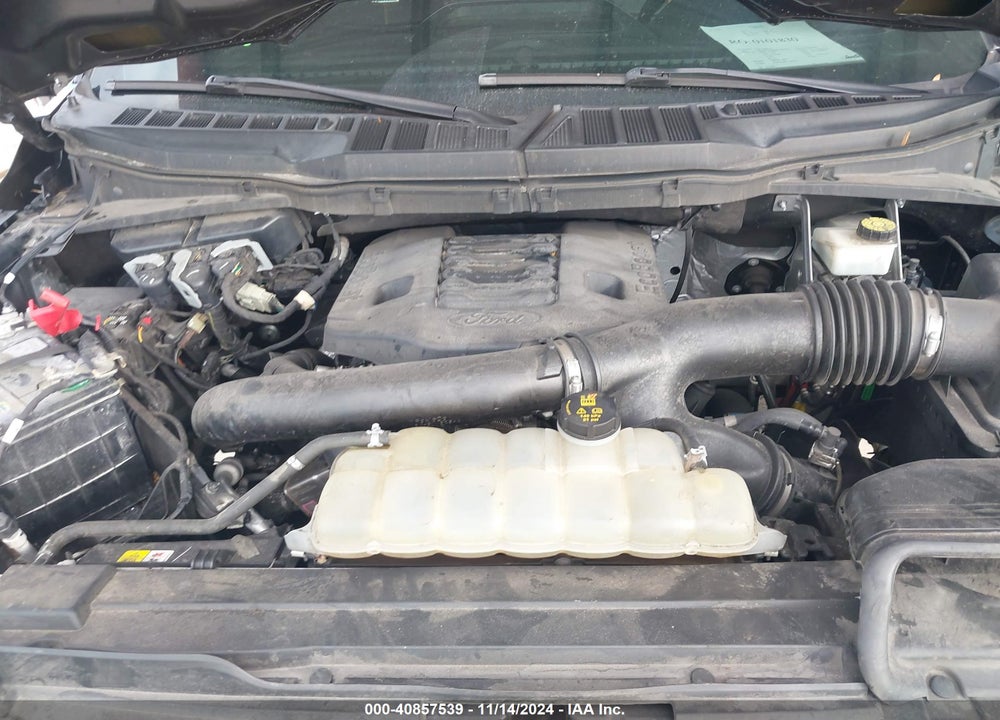 2021 FORD F-150 PLATINUM VIN: 1FTFW1E83MFA66879