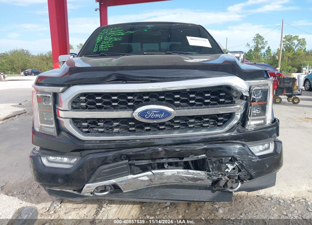 2021 FORD F-150 PLATINUM VIN: 1FTFW1E83MFA66879