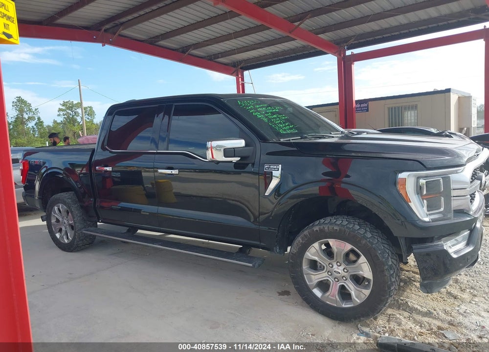 2021 FORD F-150 PLATINUM VIN: 1FTFW1E83MFA66879