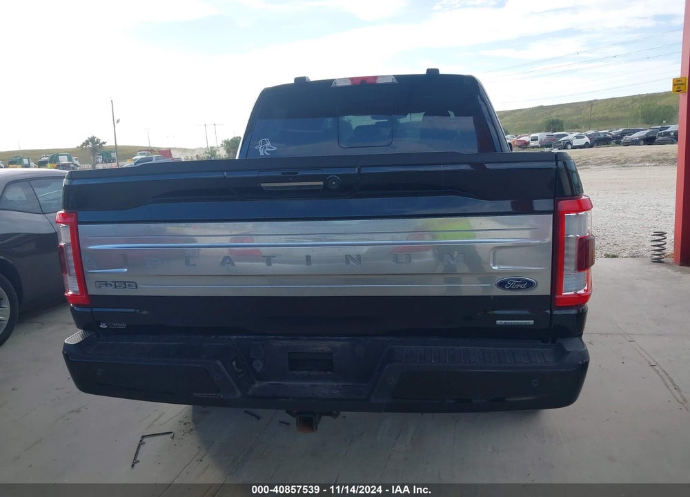 2021 FORD F-150 PLATINUM VIN: 1FTFW1E83MFA66879