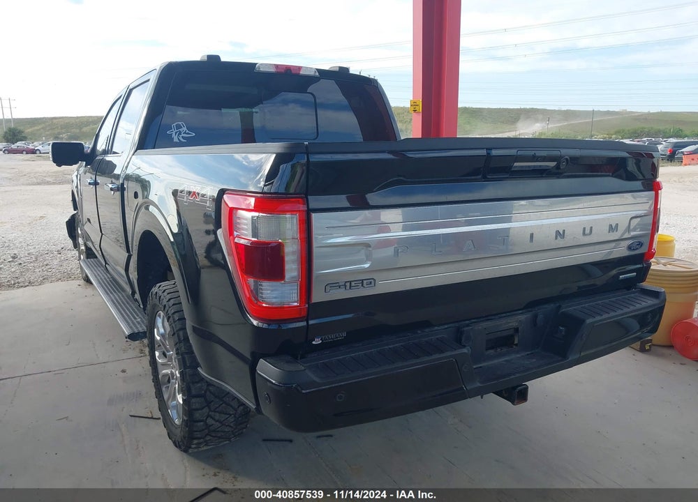 2021 FORD F-150 PLATINUM VIN: 1FTFW1E83MFA66879