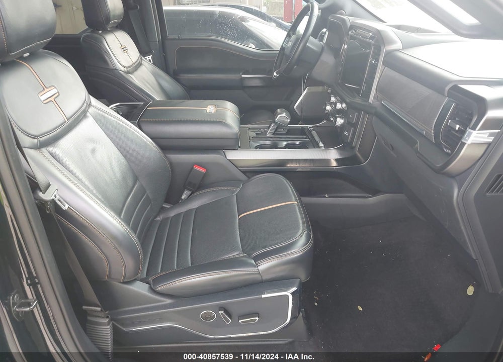 2021 FORD F-150 PLATINUM VIN: 1FTFW1E83MFA66879