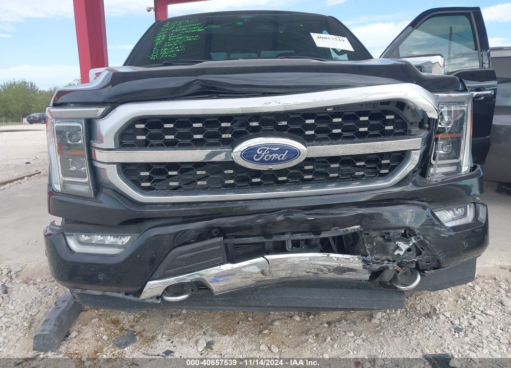 2021 FORD F-150 PLATINUM VIN: 1FTFW1E83MFA66879
