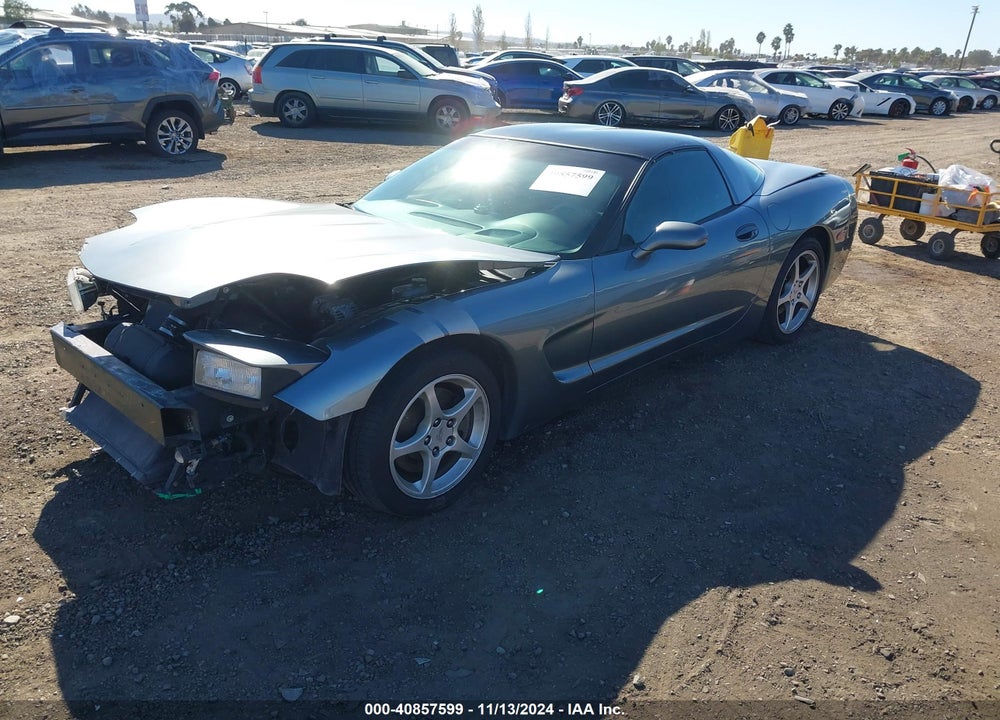 2004 CHEVROLET CORVETTE VIN: 1G1YY22GX45119547