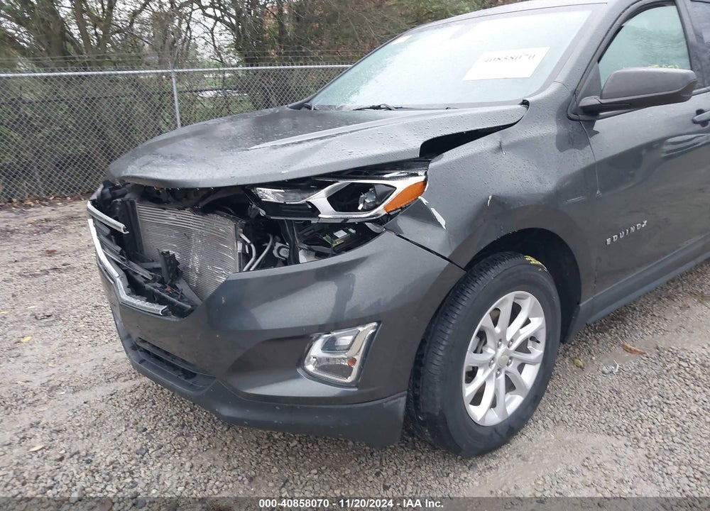 2019 CHEVROLET EQUINOX LS VIN: 3GNAXSEV5KL339561