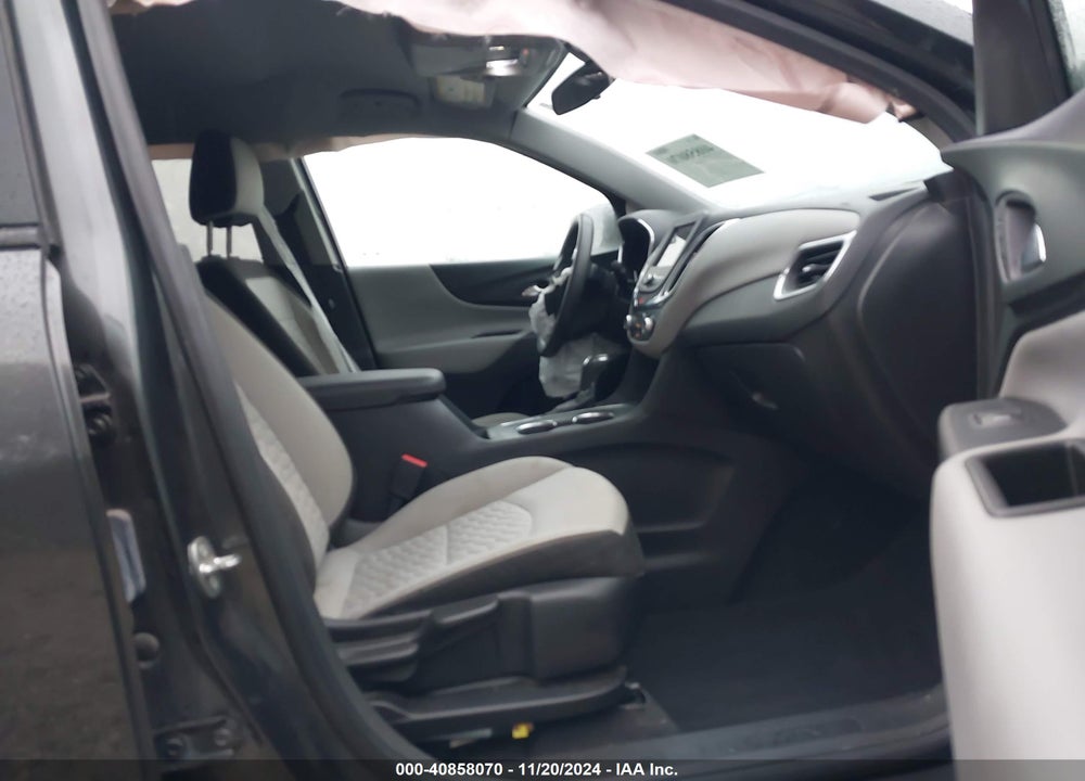 2019 CHEVROLET EQUINOX LS VIN: 3GNAXSEV5KL339561