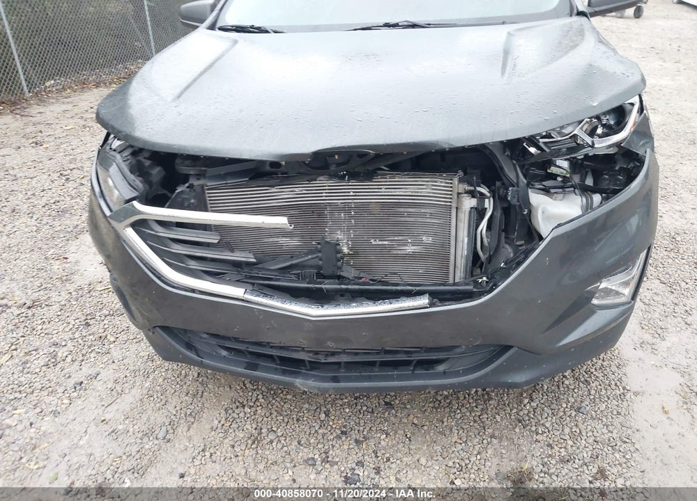 2019 CHEVROLET EQUINOX LS VIN: 3GNAXSEV5KL339561