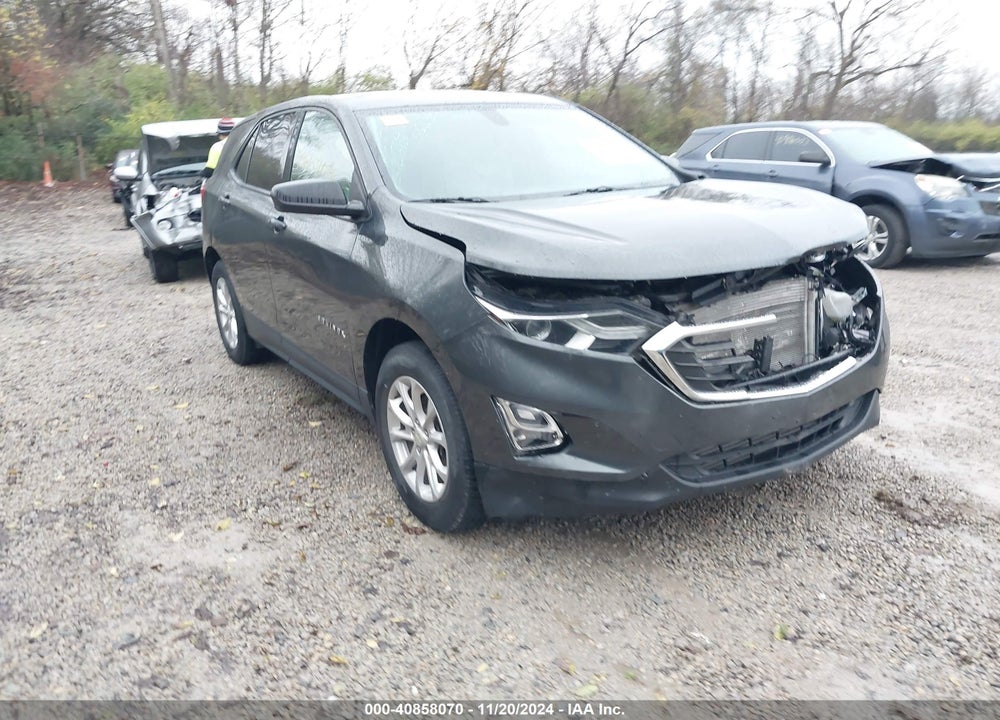 2019 CHEVROLET EQUINOX LS VIN: 3GNAXSEV5KL339561