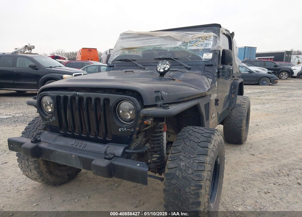 2003 JEEP WRANGLER X VIN: 1J4FA39S33P375741