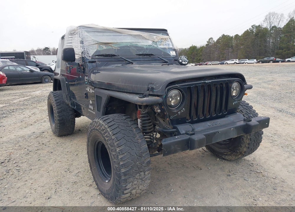 2003 JEEP WRANGLER X VIN: 1J4FA39S33P375741