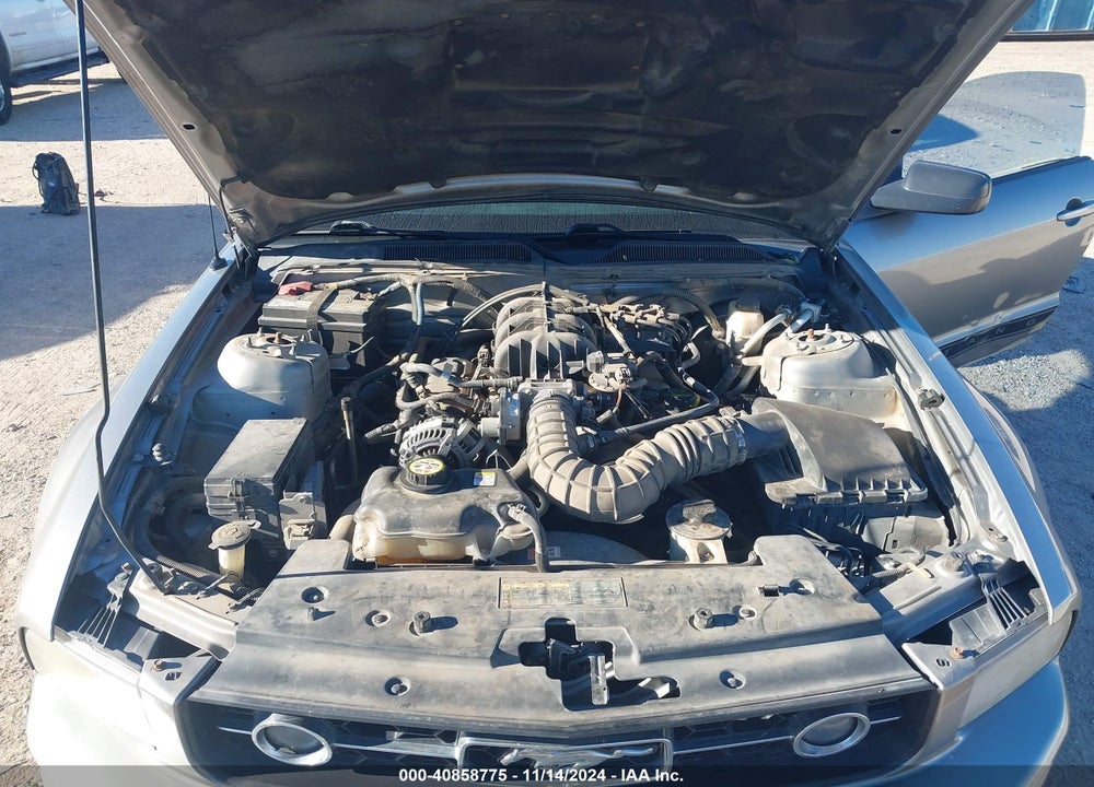 2009 FORD MUSTANG V6/V6 PREMIUM VIN: 1ZVHT80N995124401