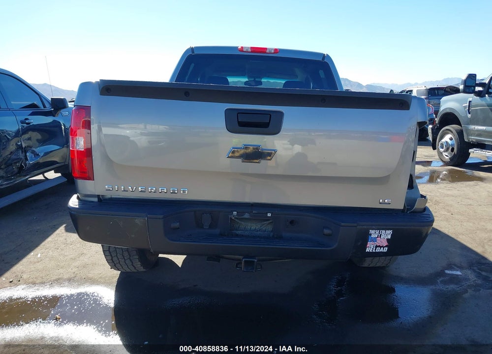 2007 CHEVROLET SILVERADO 1500 WORK TRUCK VIN: 2GCEC13C671629737