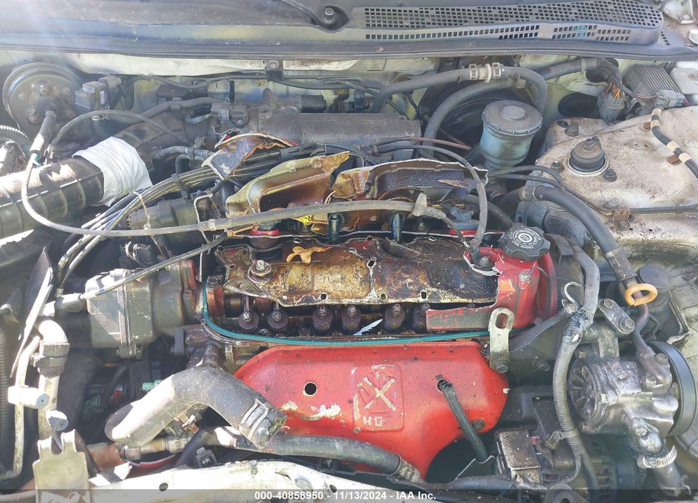 1997 HONDA ACCORD VALUE VIN: 1HGCD5684VA175558