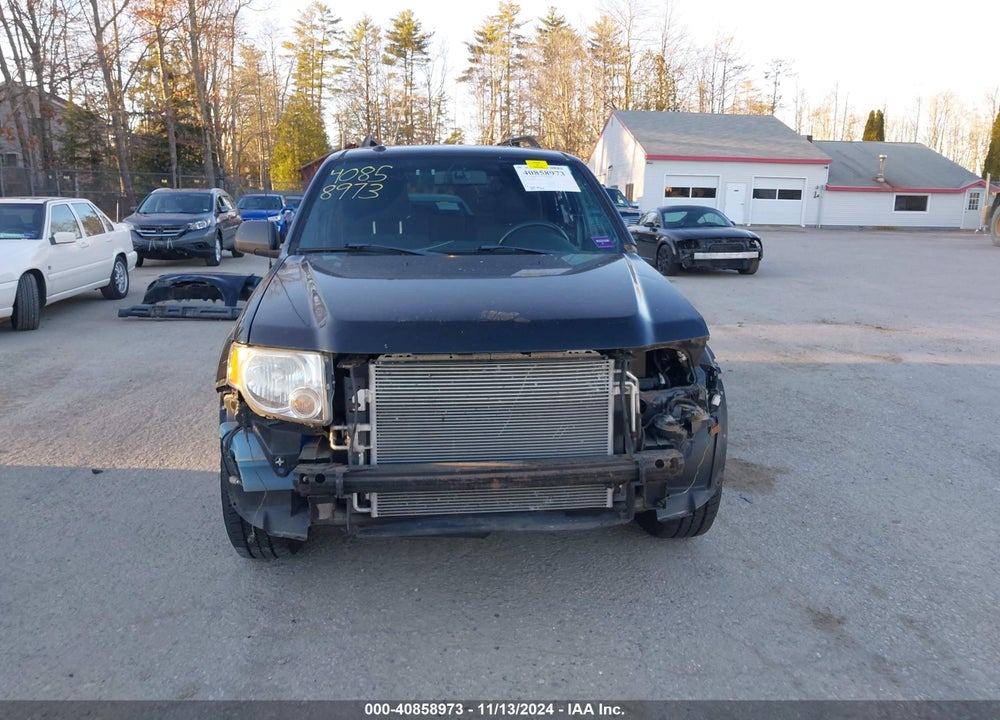 2011 FORD ESCAPE XLT VIN: 1FMCU9DG6BKA77701