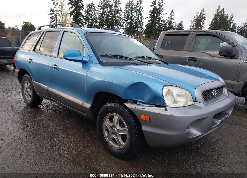 2004 HYUNDAI SANTA FE VIN: KM8SB12B34U570060