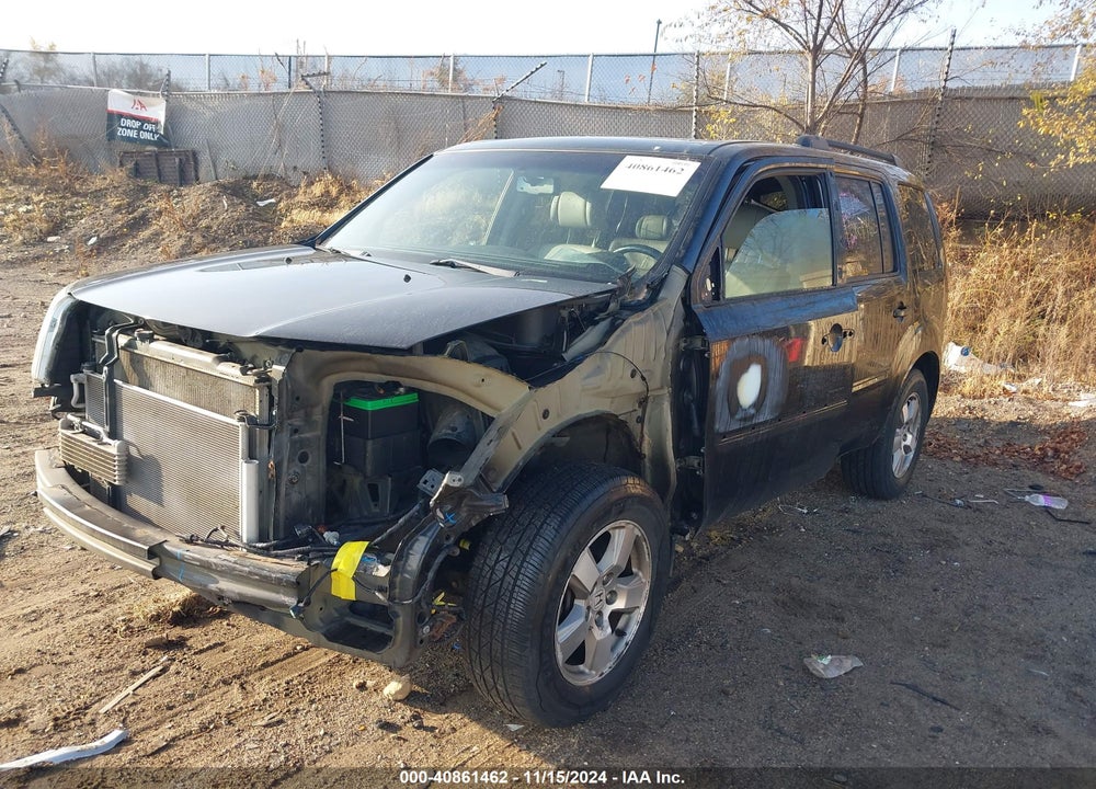 2010 HONDA PILOT EX-L VIN: 5FNYF4H55AB013936