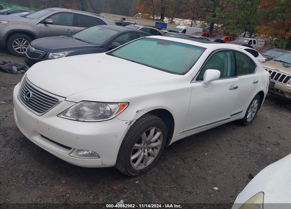 2009 LEXUS LS 460 VIN: JTHBL46F495090237