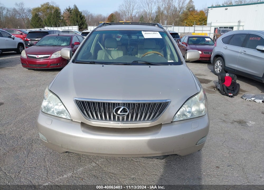 2007 LEXUS RX 350 VIN: 2T2HK31U97C041366