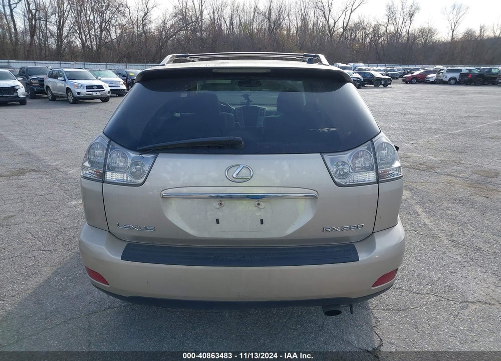2007 LEXUS RX 350 VIN: 2T2HK31U97C041366