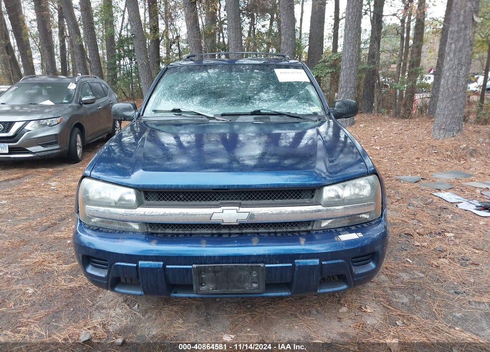 2002 CHEVROLET TRAILBLAZER LS VIN: 1GNDS13S022501144